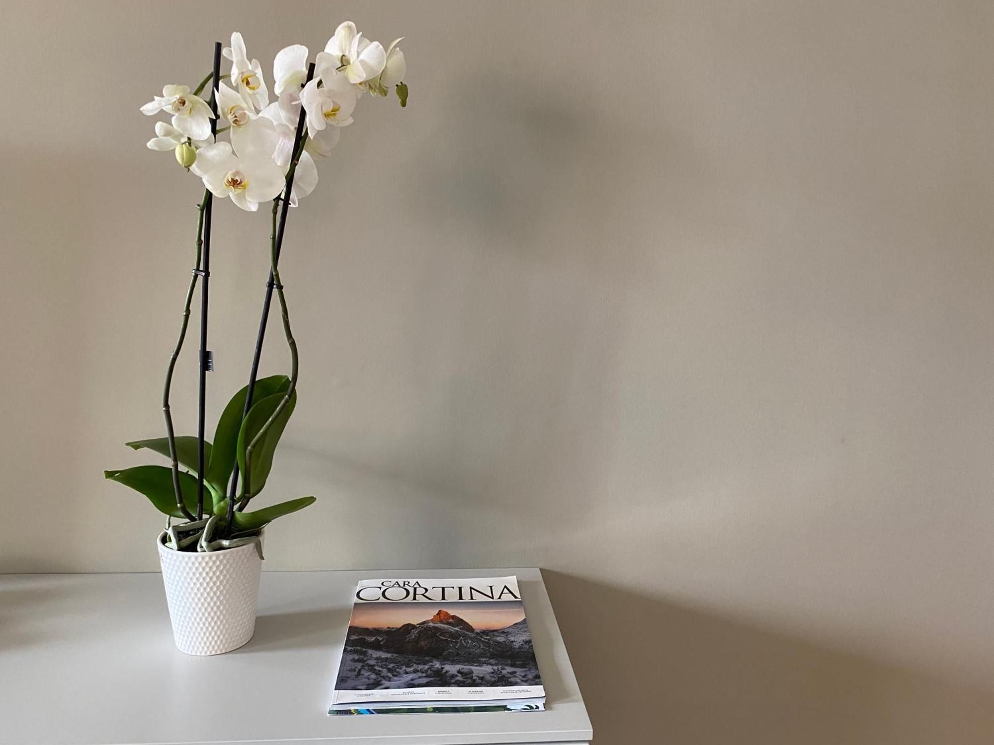 Julie'S House Lecce City Center Apartment Екстериор снимка